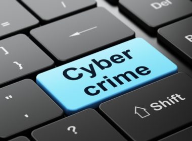 cyber-crime-survey1a